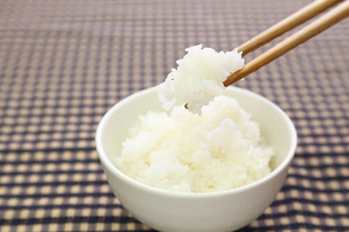 白米 ご飯 茶碗